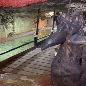 Aquarium Cap Blanc - 1470