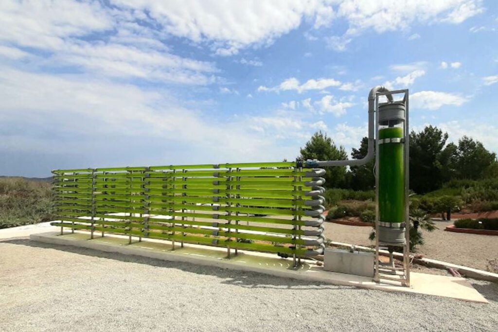 BiBo Park- fotobiorreactor1 - 1492