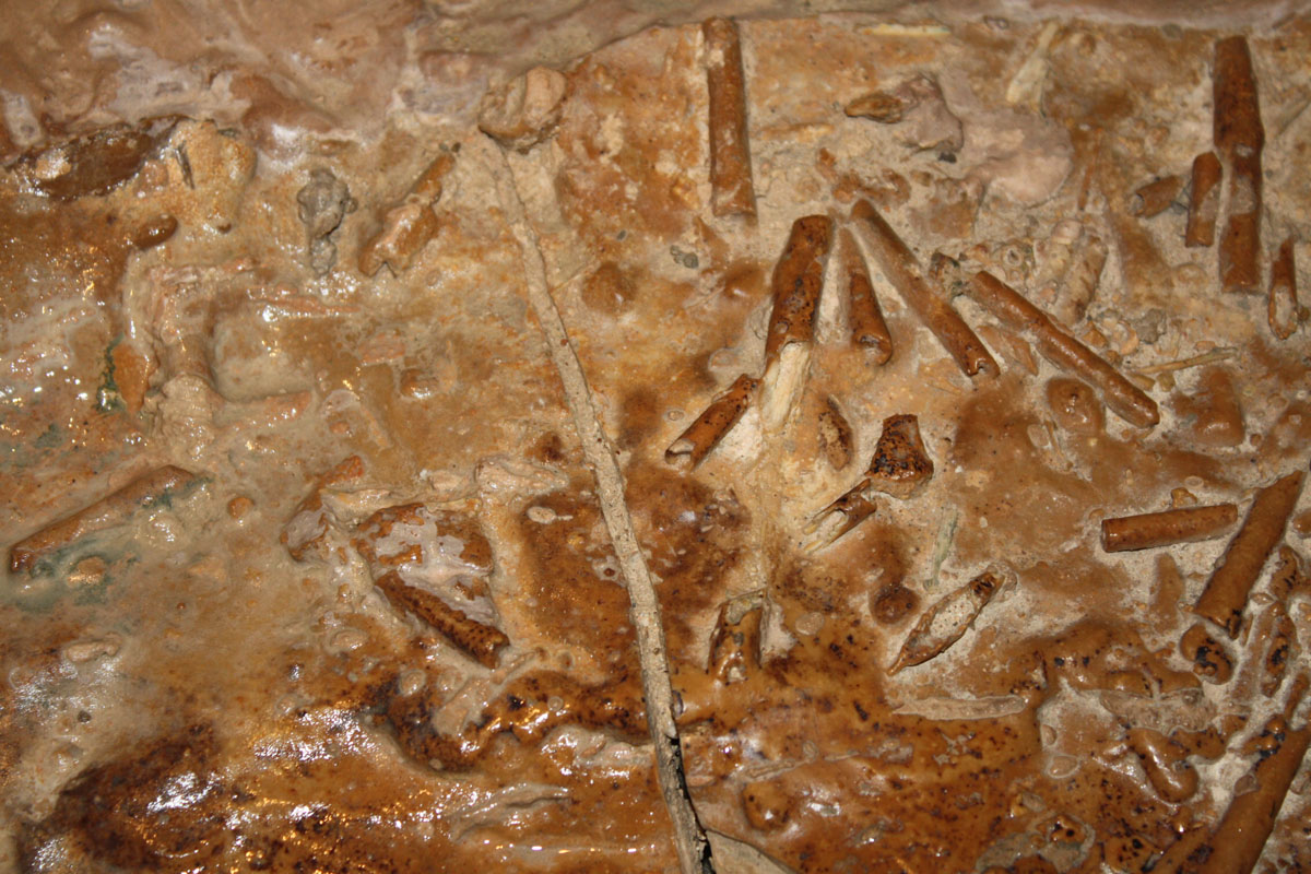 Cova de Can Marça - 1467