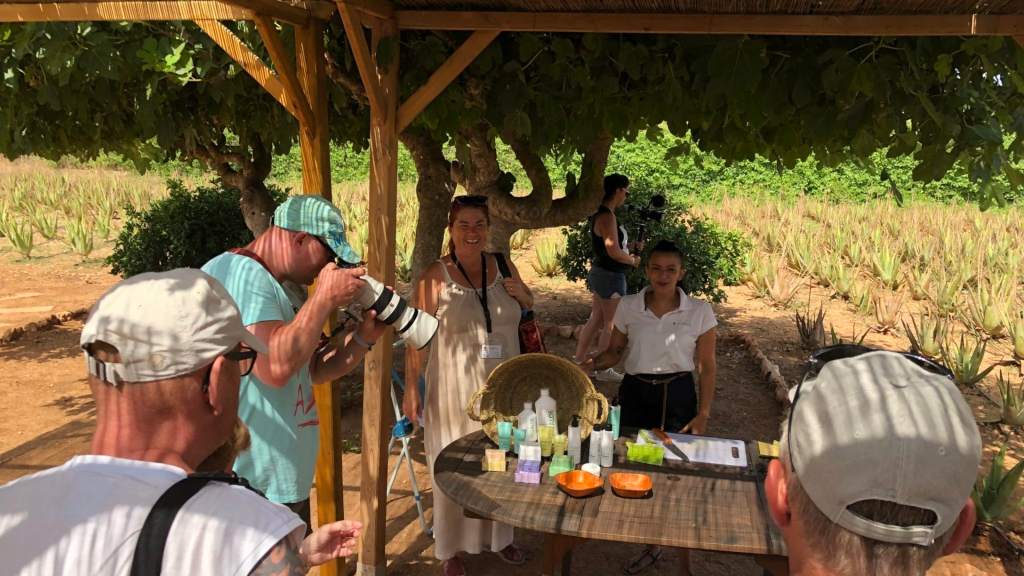 Guía explicando el Aloe Vera en el free tour de Ibizaloe, Ibiza
