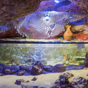 Aquarium Cap Blanc
