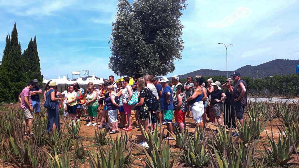 Grupo de visitantes en el free tour de la plantación Ibizaloe, Ibiza